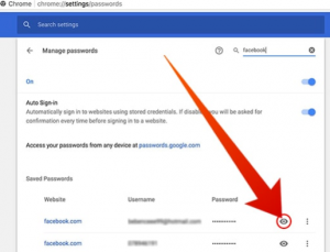 view all saved passwords google chrome
