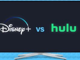 Disney Plus vs Hulu